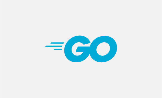 Introduction To Generics In Go Picture